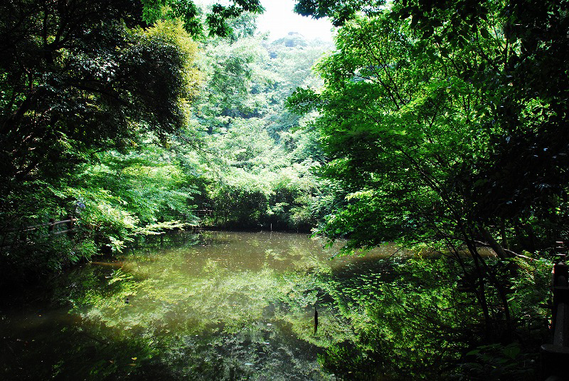 光の丘水辺公園風景