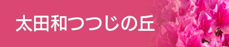 太田和つつじの丘