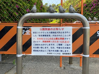 19.jpg 19.jpg