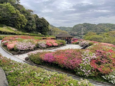 46.jpg 46.jpg
