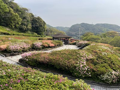 48.jpg 48.jpg