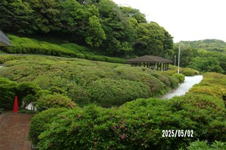 20250502150045.jpg