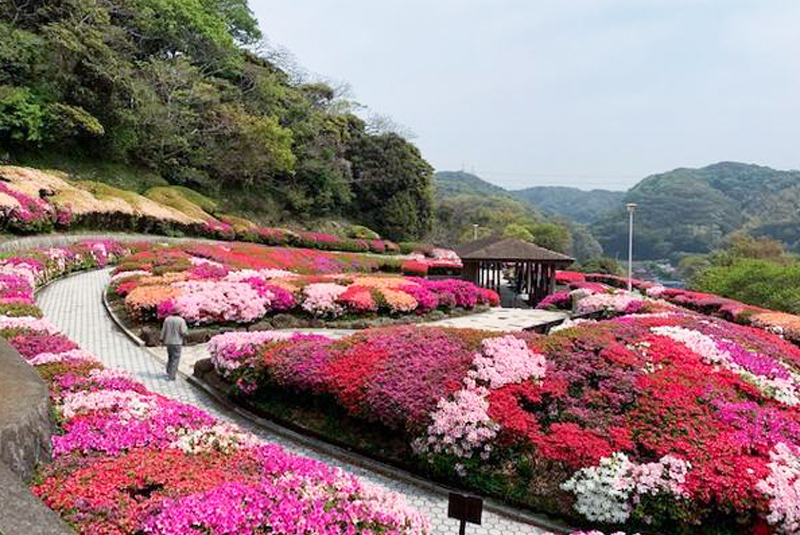 太田和つつじの丘風景